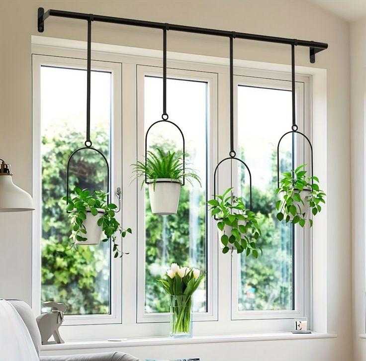 three potted plants are hanging from the window sill in front of a couch