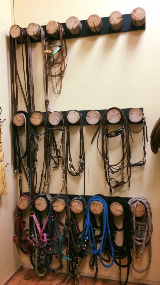 several different types of horse tacks hanging on a wall