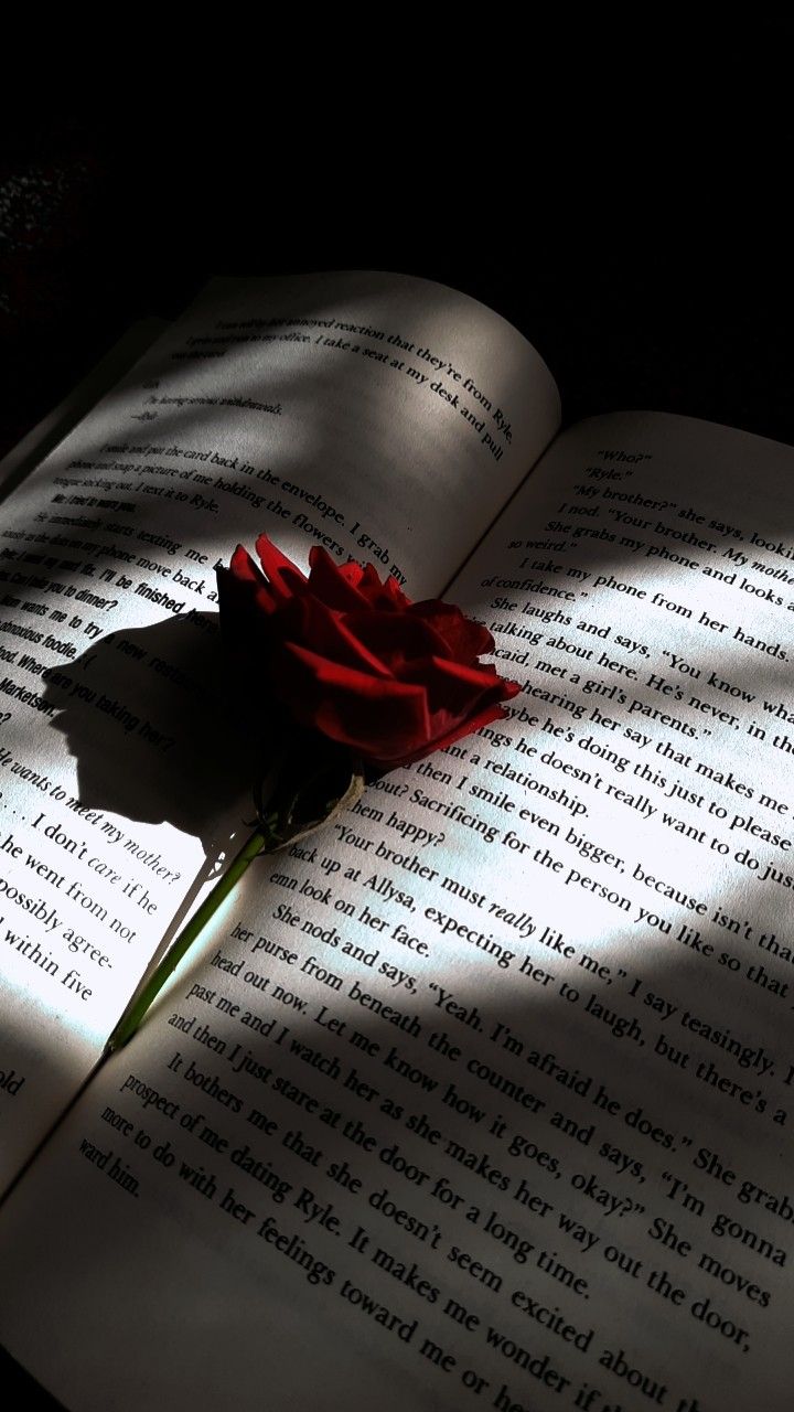 a single red rose sitting on top of an open book in the dark with light coming through it