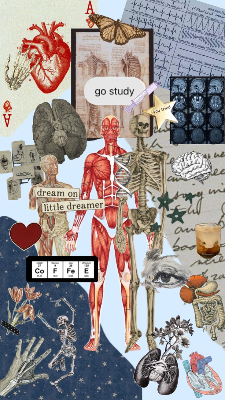 a collage of various medical images with words and pictures on them that say go study