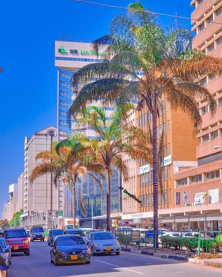 cars are driving down the street in front of tall buildings with palm trees on both sides