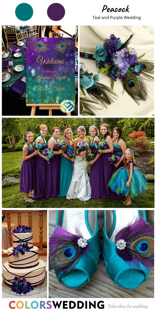 peacock themed wedding with purple and teal colors