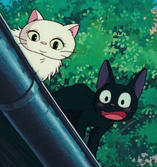 two black and white cats standing next to each other in front of some trees with green leaves