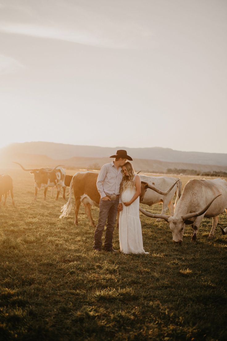 a bride and groom standing in front of cows on a field at sunset with the sun behind them