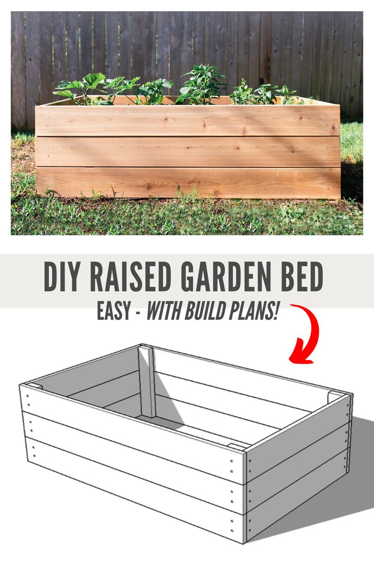 the diy raised garden bed with build plans