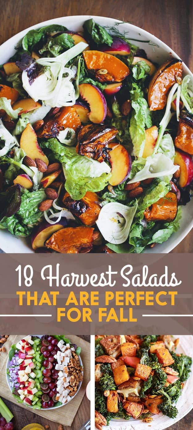 different salads that are perfect for fall