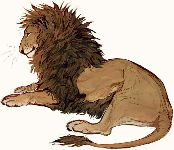 a drawing of a lion sitting on the ground