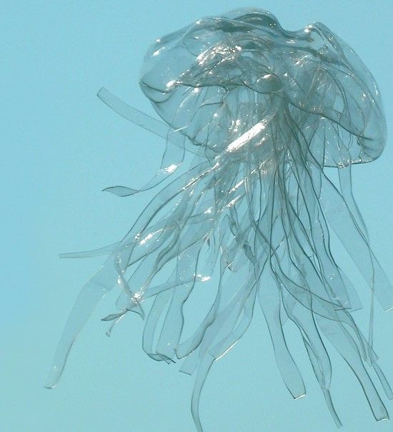 three clear plastic objects floating in the air