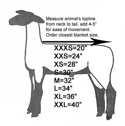 the measurements for an animal's topline are shown