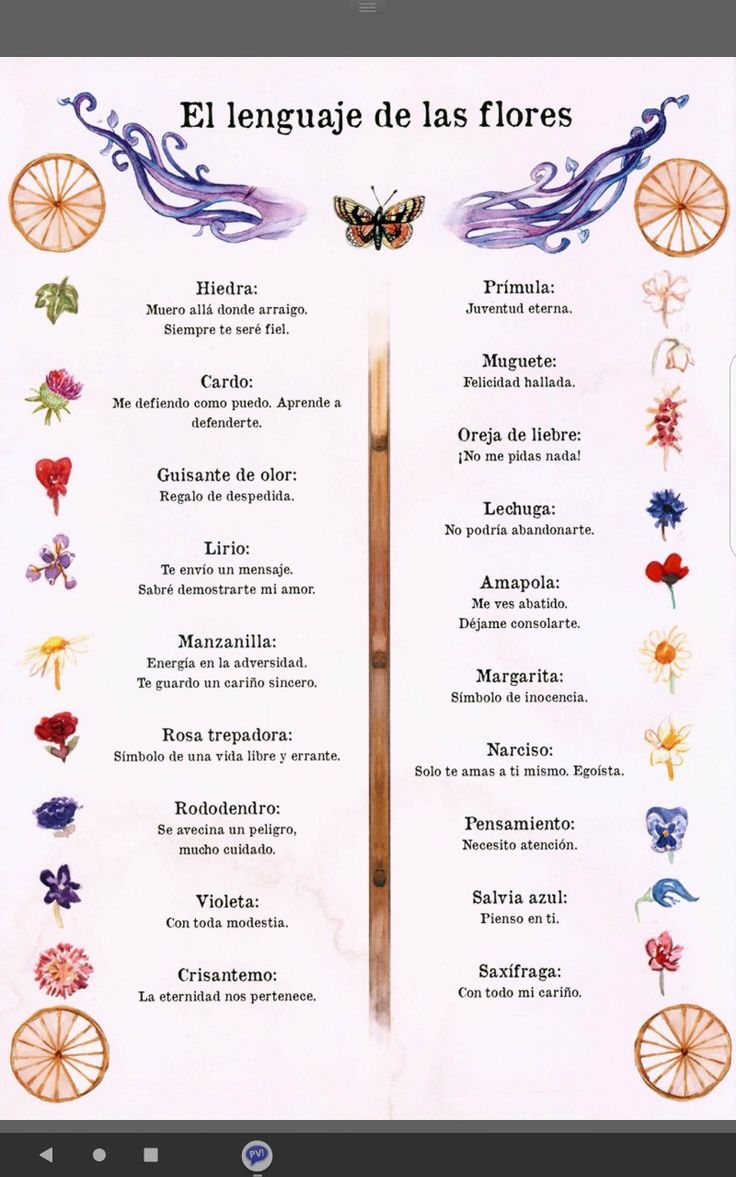 the spanish language book is open and showing an image of different types of flowers on it