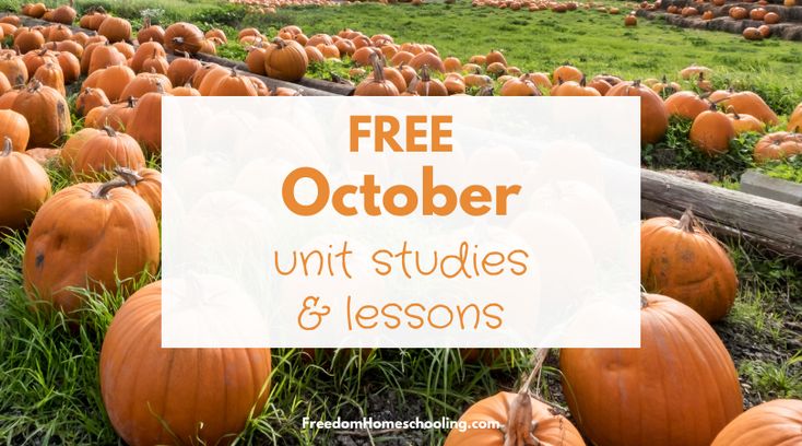 a field full of pumpkins with the words free october unit studies and lessons on it