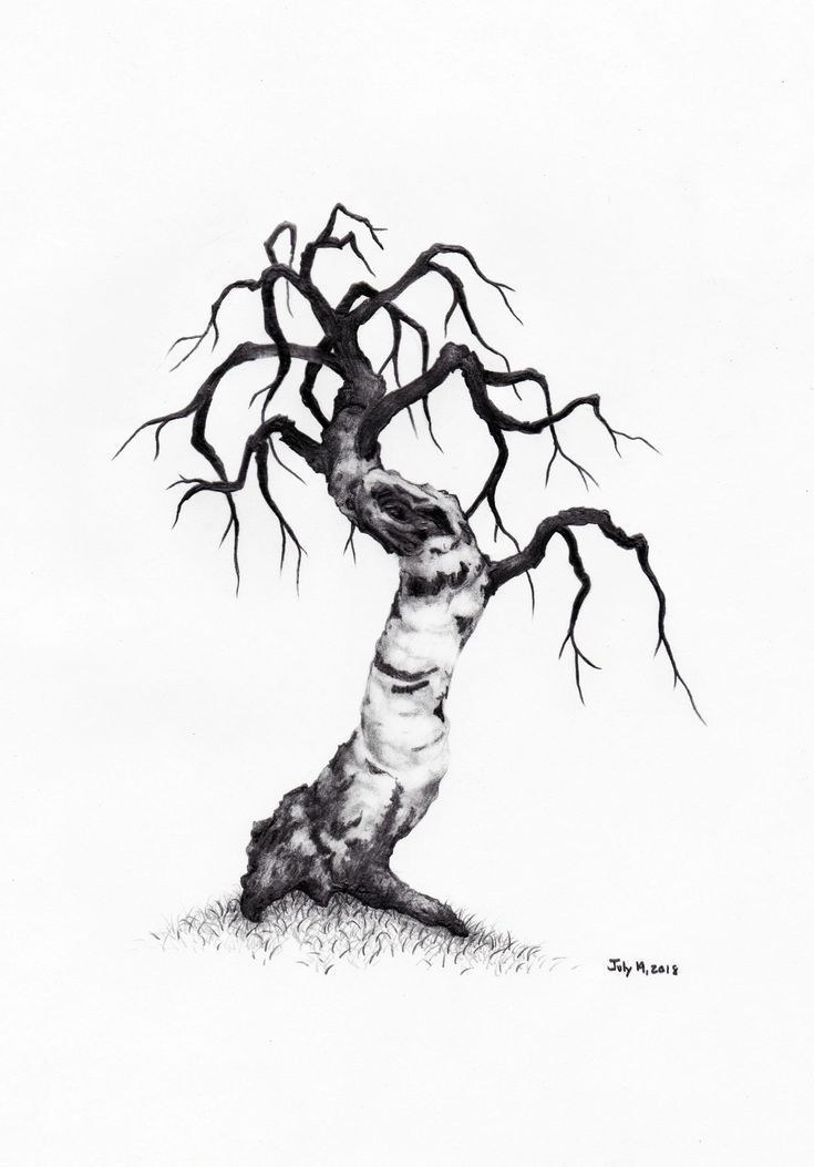 a black and white drawing of a tree