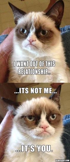 grumpy cat with caption that says, i want out of this relationship it's not me