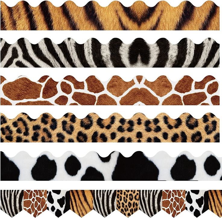 different animal print patterns are shown in this image