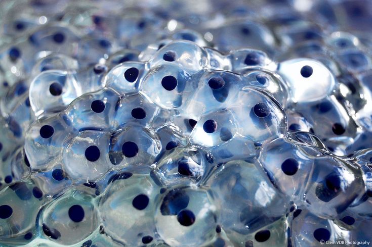 many blue and white glass beads are stacked together