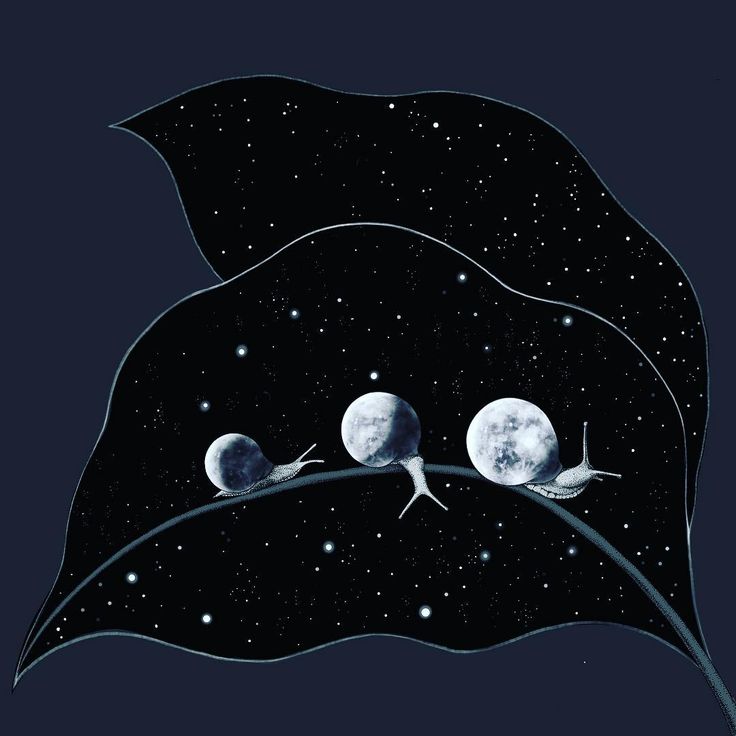 three birds sitting on top of a leaf in the night sky with stars and moon behind them