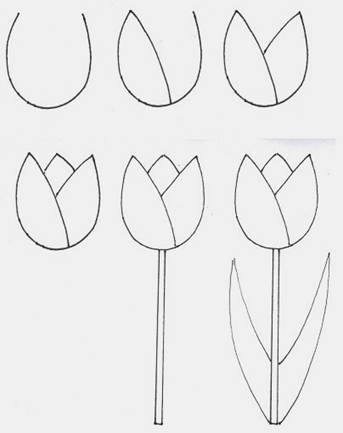 how to draw tulips step by step with pictures for kids and beginners