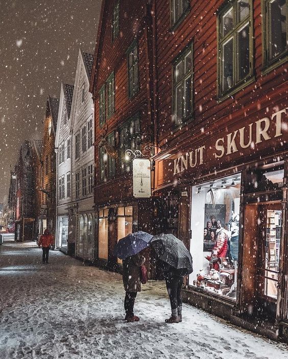 two people are standing outside in the snow with umbrellas and looking at storefronts