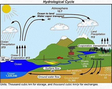 the hydrological cycle is shown with water and other things in it, including land