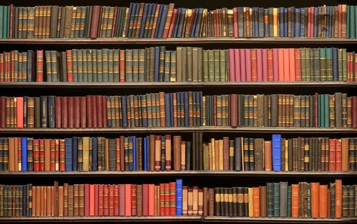 rows of books on shelves in a library