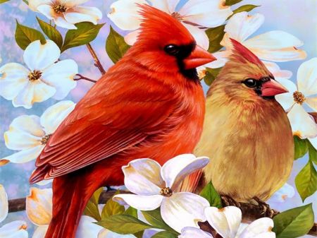 two red birds sitting on top of white flowers