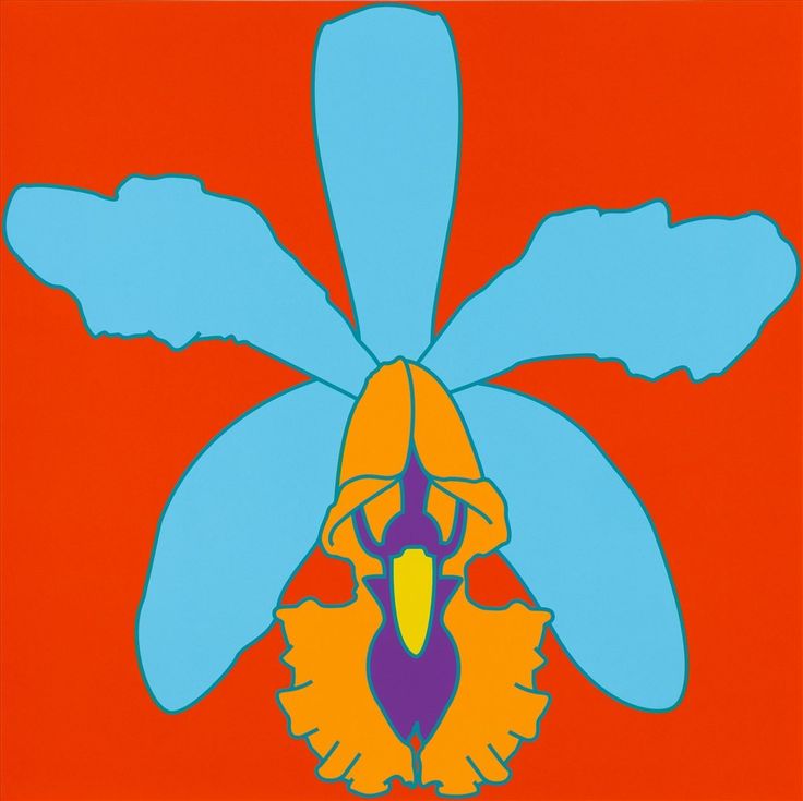 a blue and yellow flower on an orange background