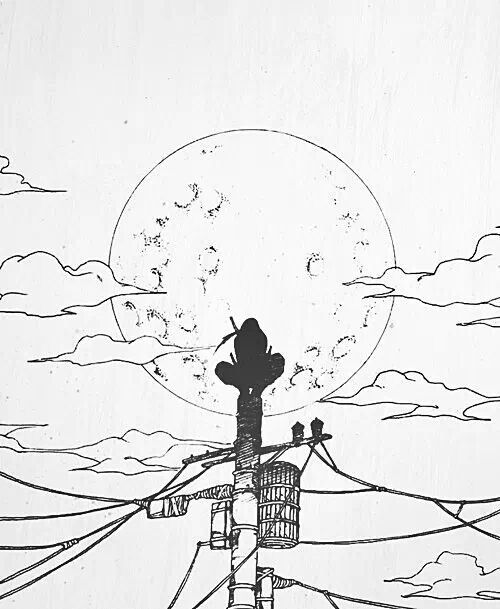 a black and white drawing of a bird sitting on top of a telephone pole in front of the moon