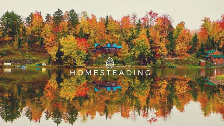 HOMESTEADING.COM