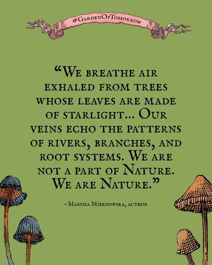 a quote from the book, we breathe air