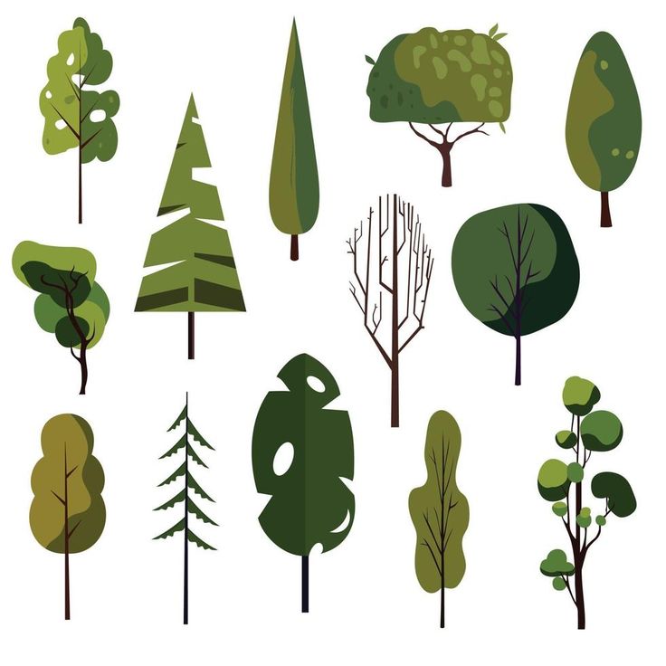 various types of trees on white background