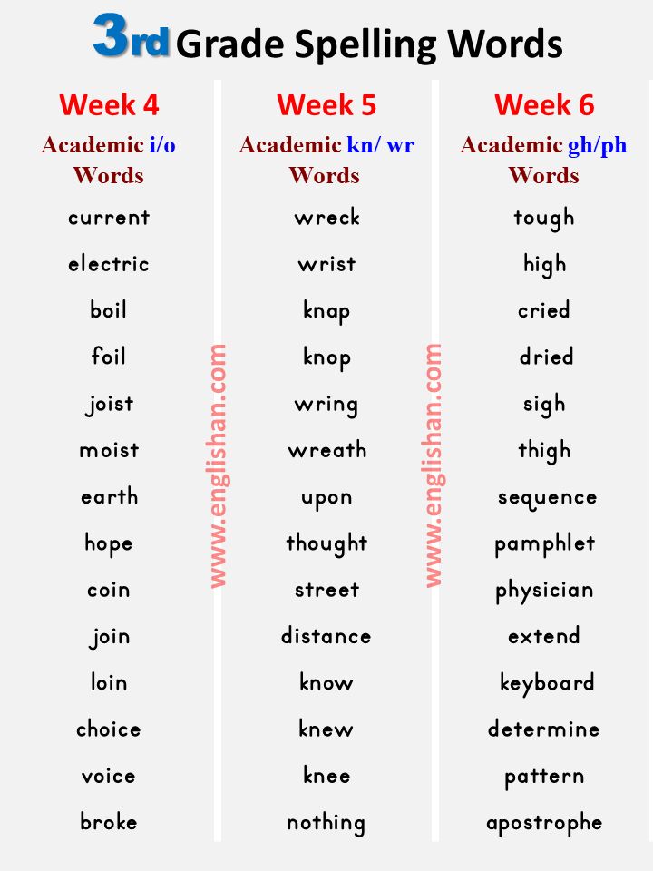 three different words that are in the same language, and one is for each word