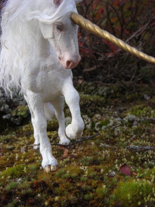 a white horse with a long mane is walking through the mossy ground in front of trees