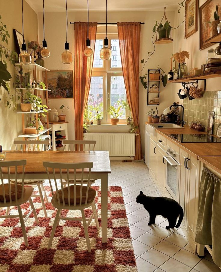 a black cat standing in the middle of a kitchen next to a table and chairs