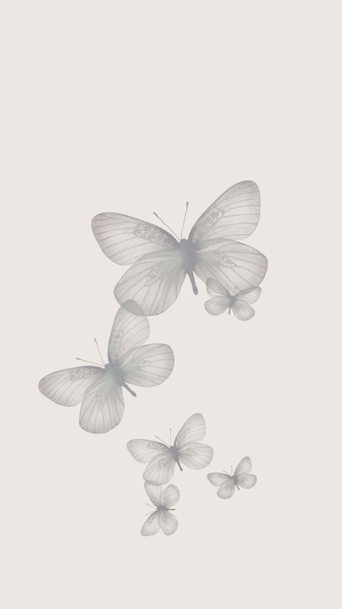 three white butterflies flying in the air with their wings spread out and one is on top of