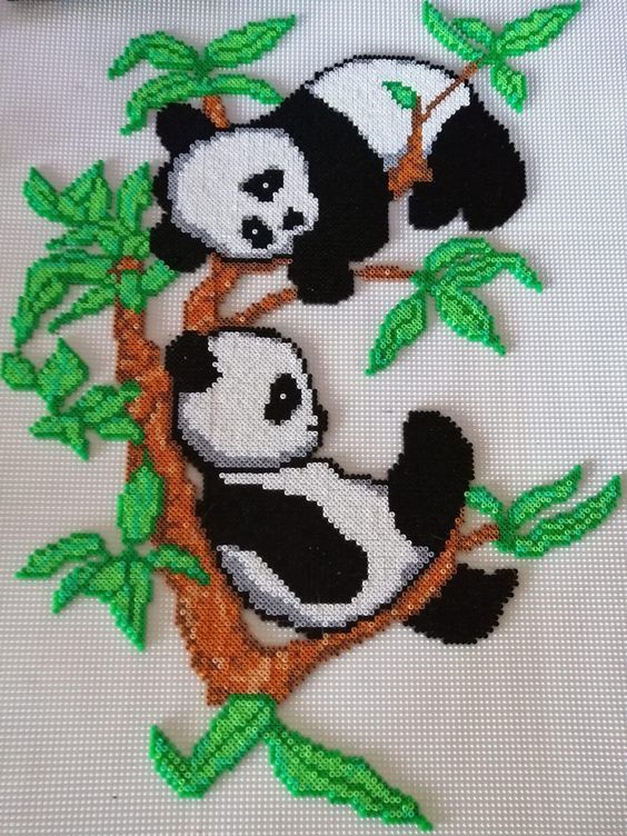 two panda bears sitting on top of a tree