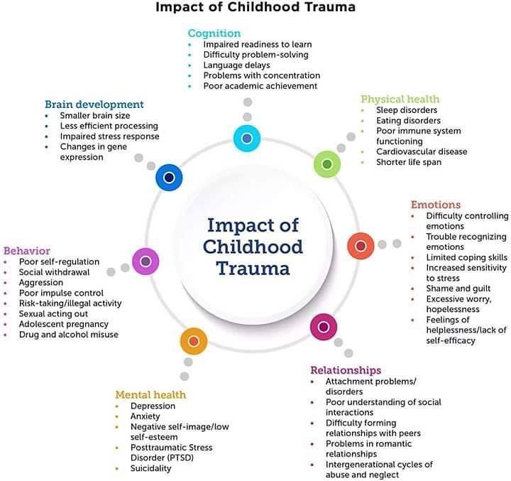 CPTSD/PTSD Info on Instagram: “Impacts of Childhood Trauma • • • #cptsd #complextrauma #ptsdawareness #ptsdrecovery #thrivingwithptsd #ptsdsurvivor #empowering…” Brain Size, Adverse Childhood Experiences, Build Resilience, Counseling Resources, Mental And Emotional Health, Therapy Activities, Coping Skills, Social Work, Social Emotional