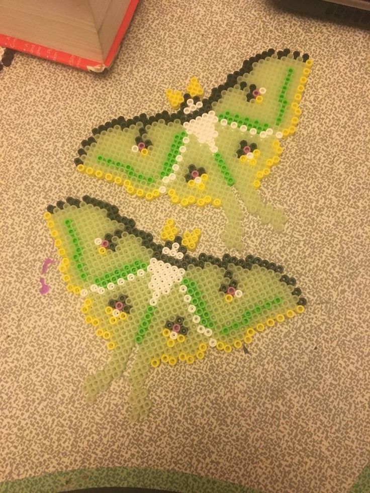 two green and yellow butterflies are on the floor