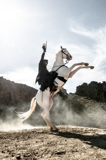 a man riding on the back of a white horse