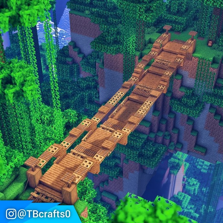 a bridge in the middle of a forest