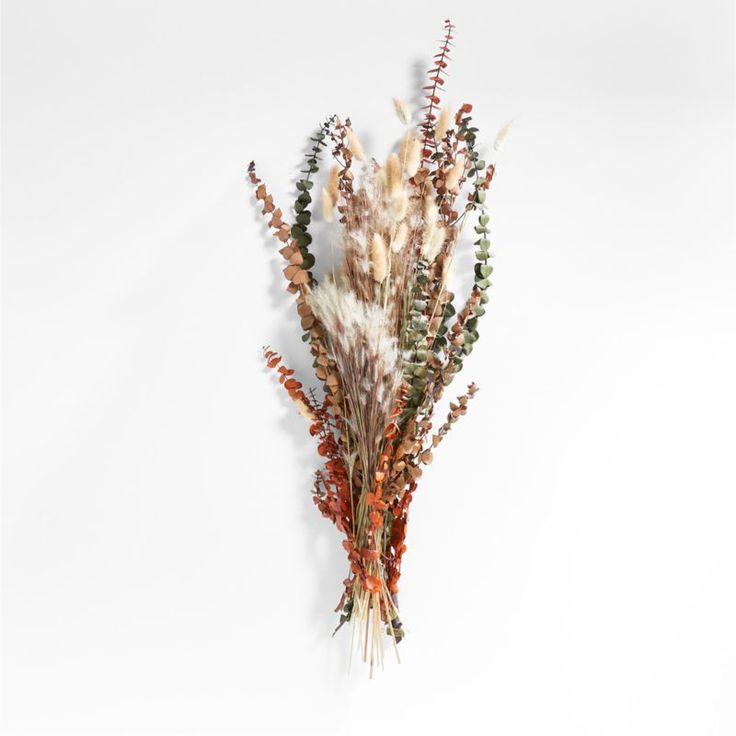 dried flowers are arranged on a white wall