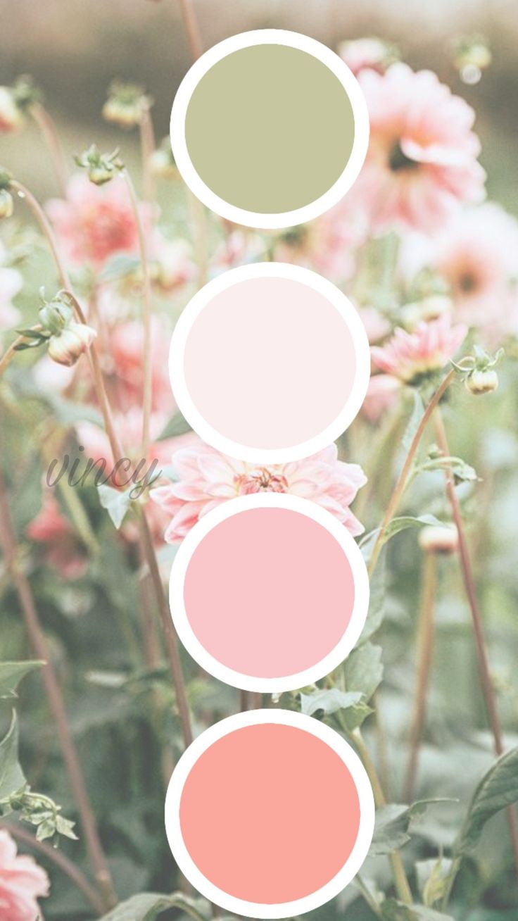 some pink and green flowers are in the grass with three circles above them that show different colors