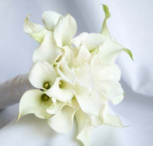 a bouquet of flowers sitting on top of a white cloth