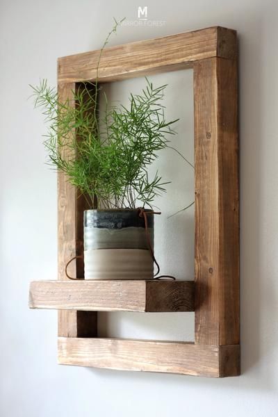 a potted plant sitting on top of a wooden shelf