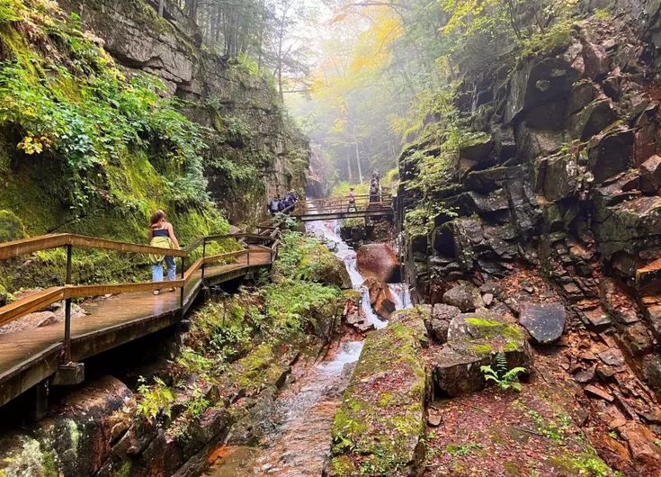 a person standing on a wooden bridge over a stream in the woods near a waterfall