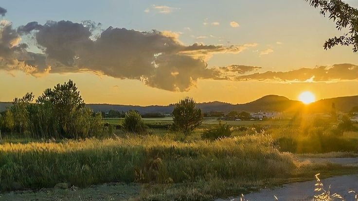 the sun is setting over a grassy field