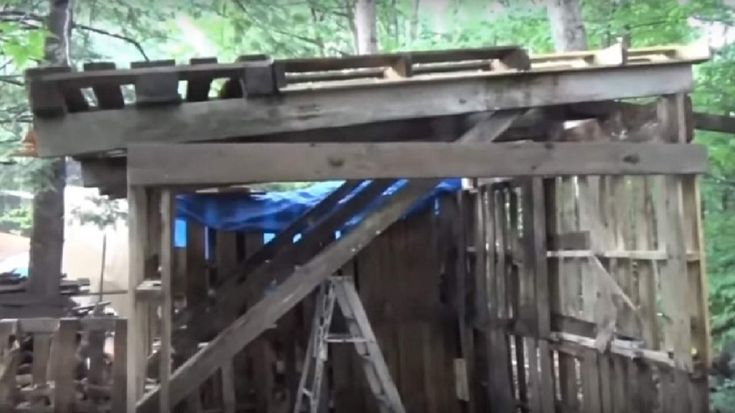 an outhouse in the woods with blue tarp on it