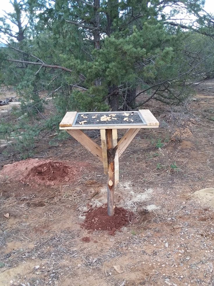 a wooden sign with writing on it in the middle of some dirt and pine trees