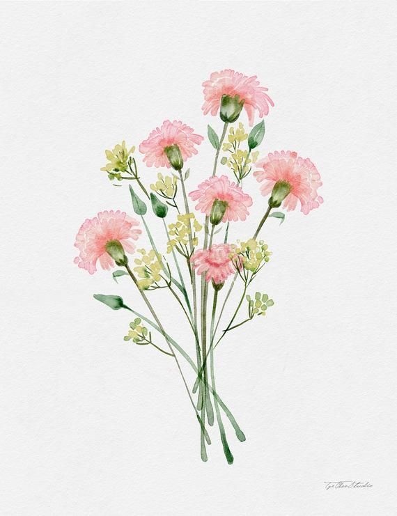 watercolor painting of pink carnations with green leaves