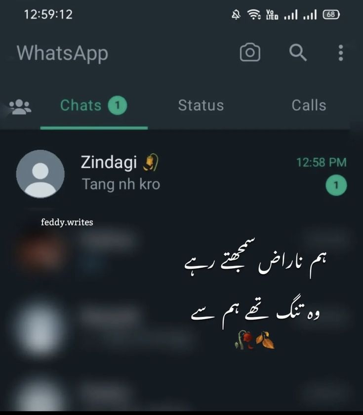 an english and arabic language texting app on the phone with whatsapp written in different languages