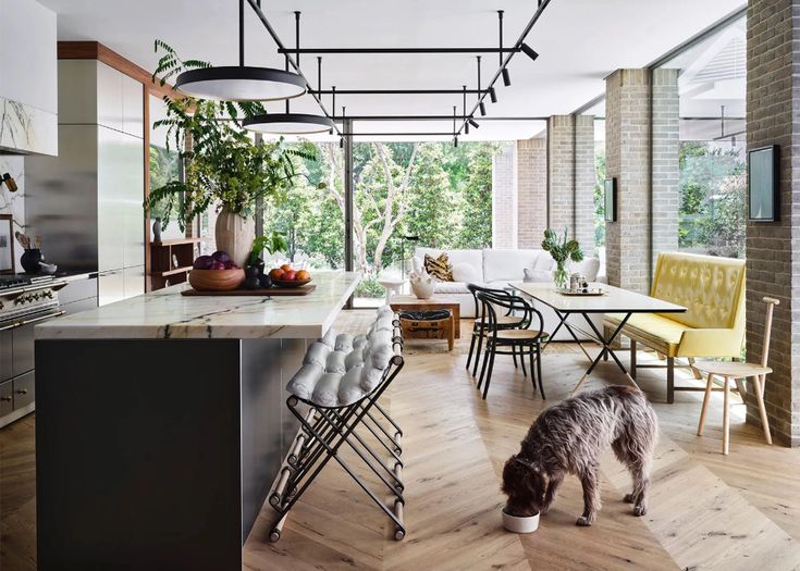 a dog is standing in the middle of a kitchen with chairs and an island table